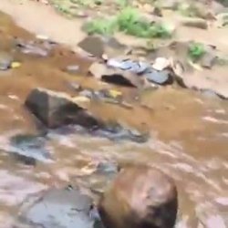 Sexo na Cachoeira